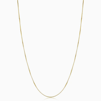 Collier Bodega Box